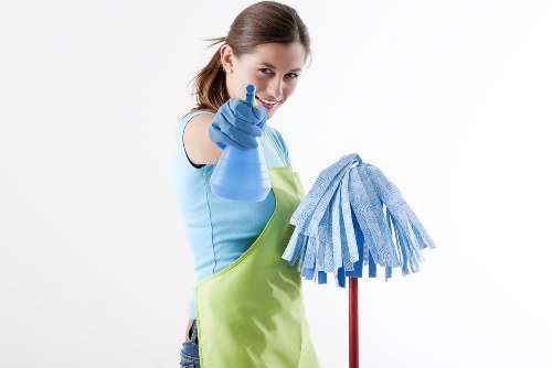 Professional domestic cleaning in Pimlico living room
