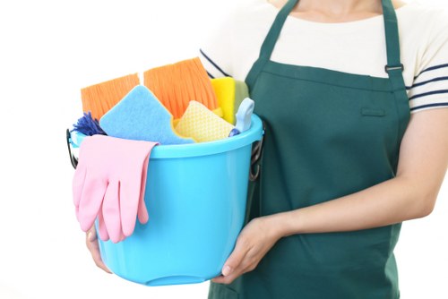 Deep house cleaning supplies organized for a home