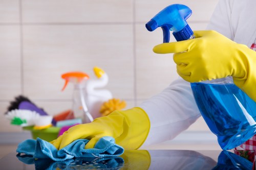 Move in cleaning of a bright empty living room