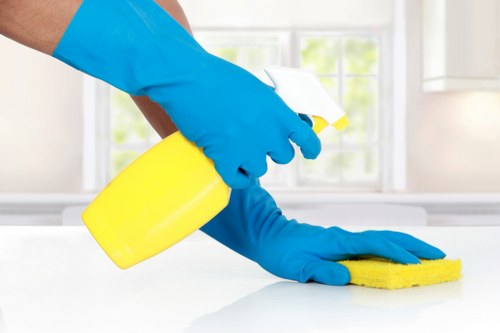 Professional deep cleaning of a home interior