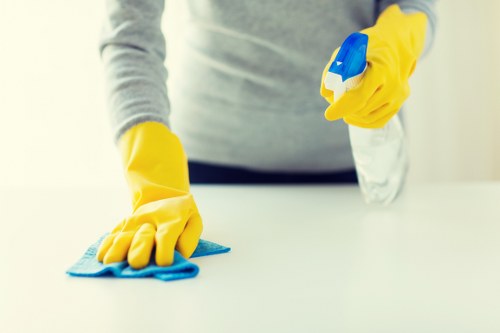 Window cleaning tools including squeegee and microfiber cloth