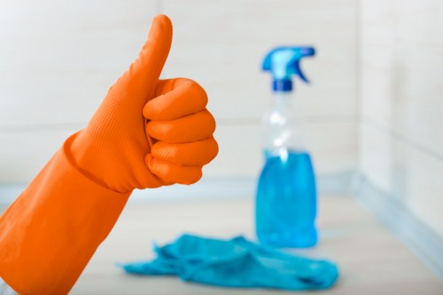 Carpet cleaning for allergy and odor control in a bedroom