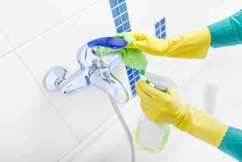Pimlico cleaners refreshing a property with careful attention