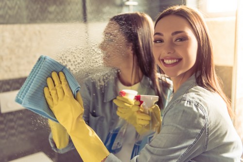 Deep cleaning supplies arranged for rug care