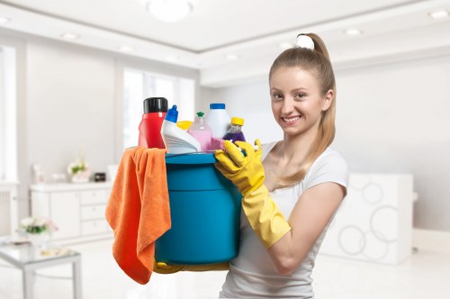 Deep domestic cleaning service for Pimlico residence